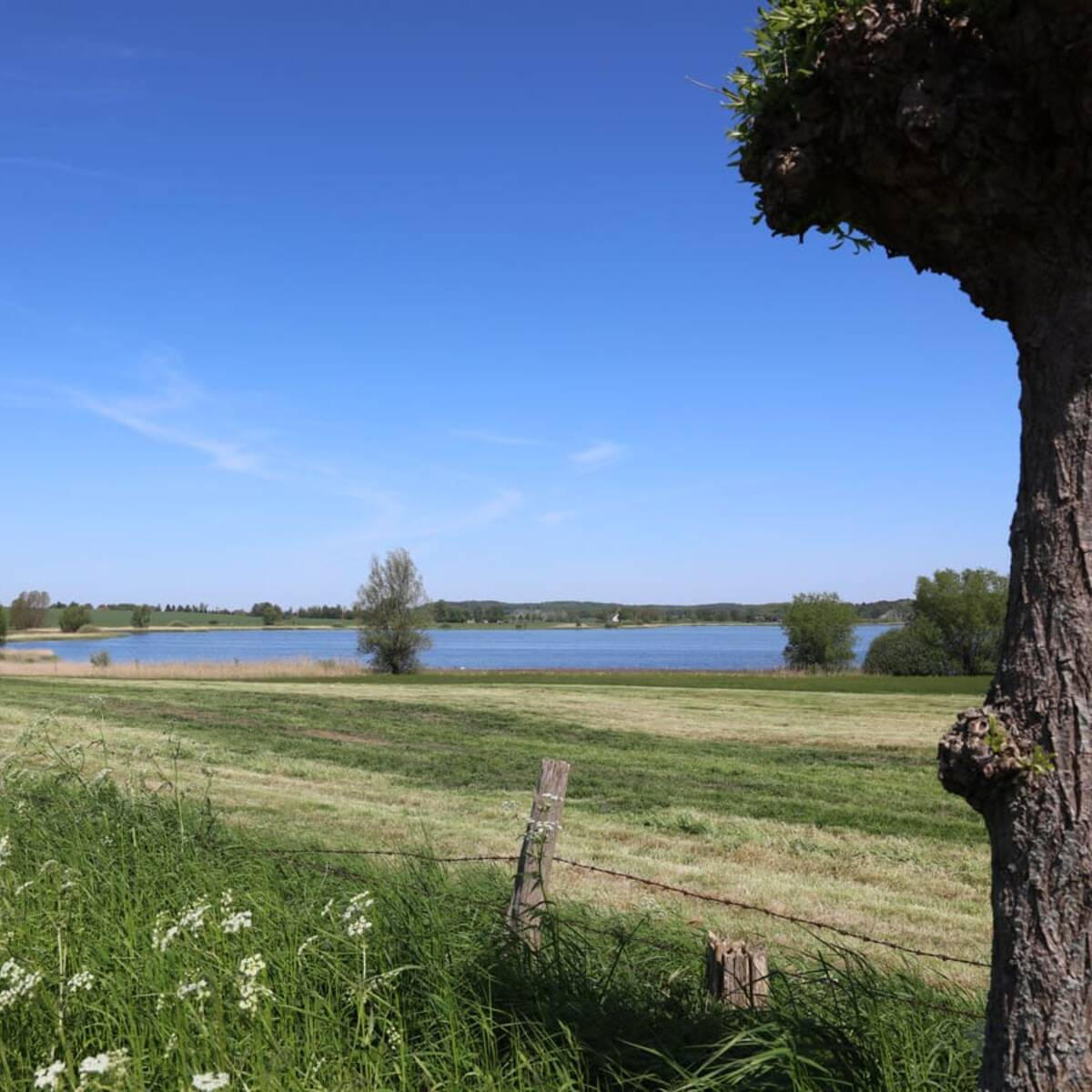 Nonnensee bei Bergen auf der Insel Rügen