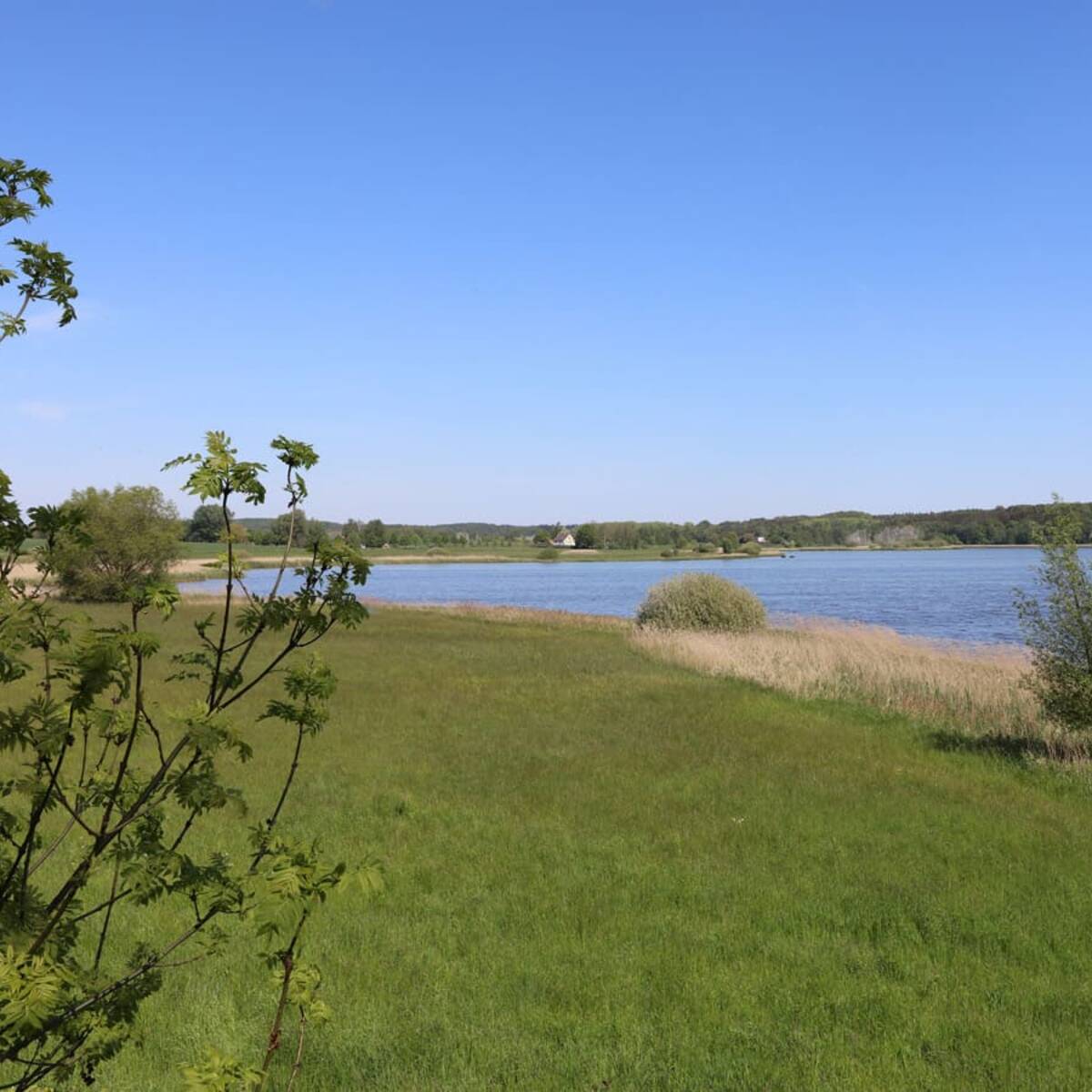 Nonnensee bei Bergen auf der Insel Rügen – 