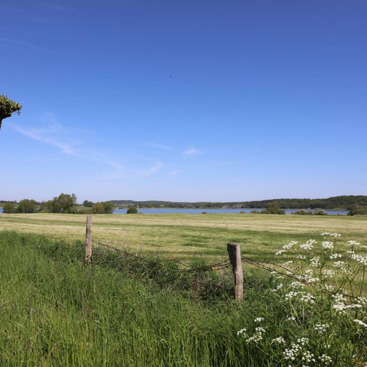 Nonnensee bei Bergen auf der Insel Rügen