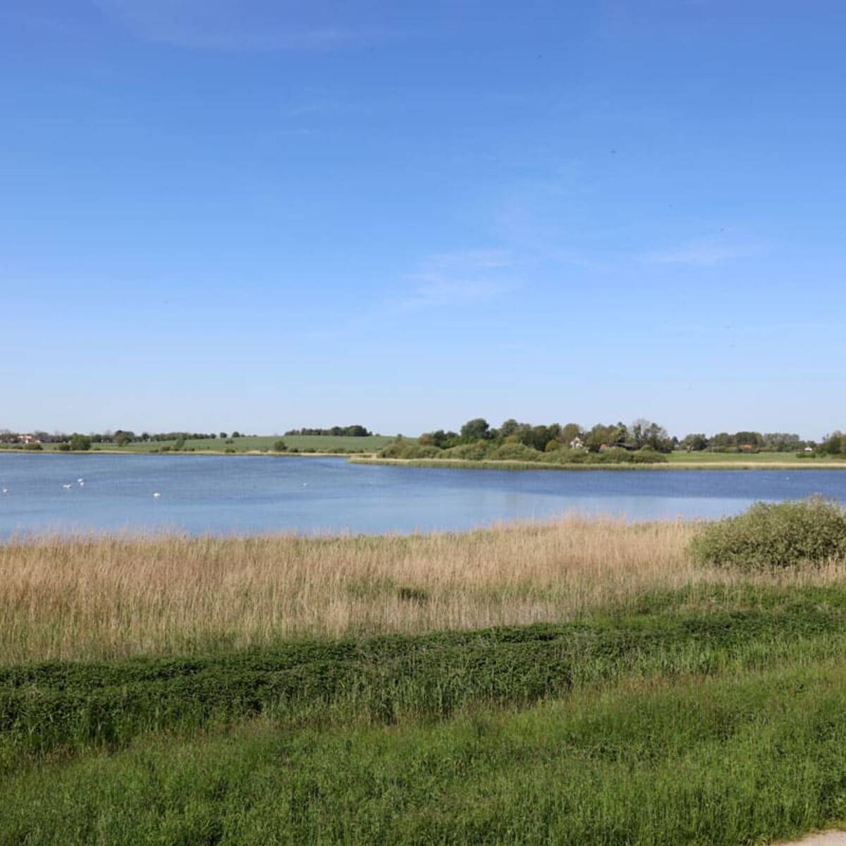 Nonnensee auf der Insel Rügen