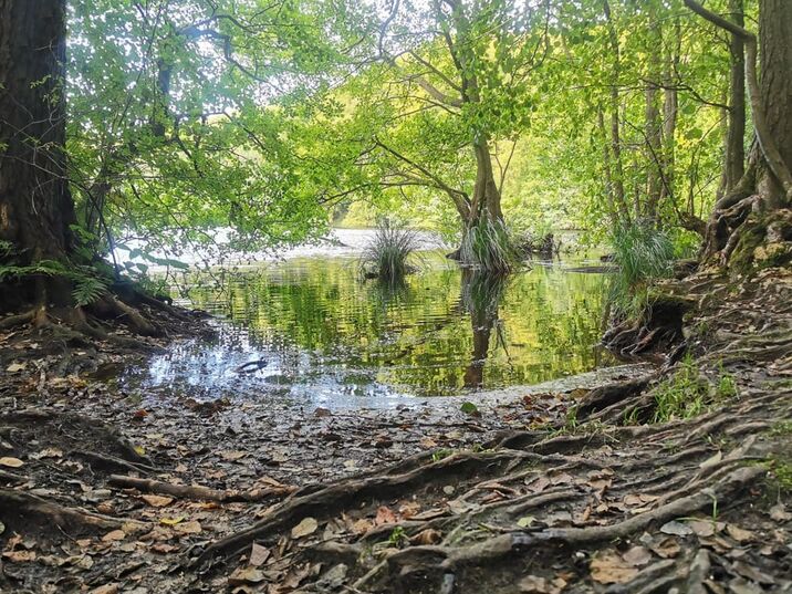 Ausflugziel: Herthasee auf der Insel Rügen