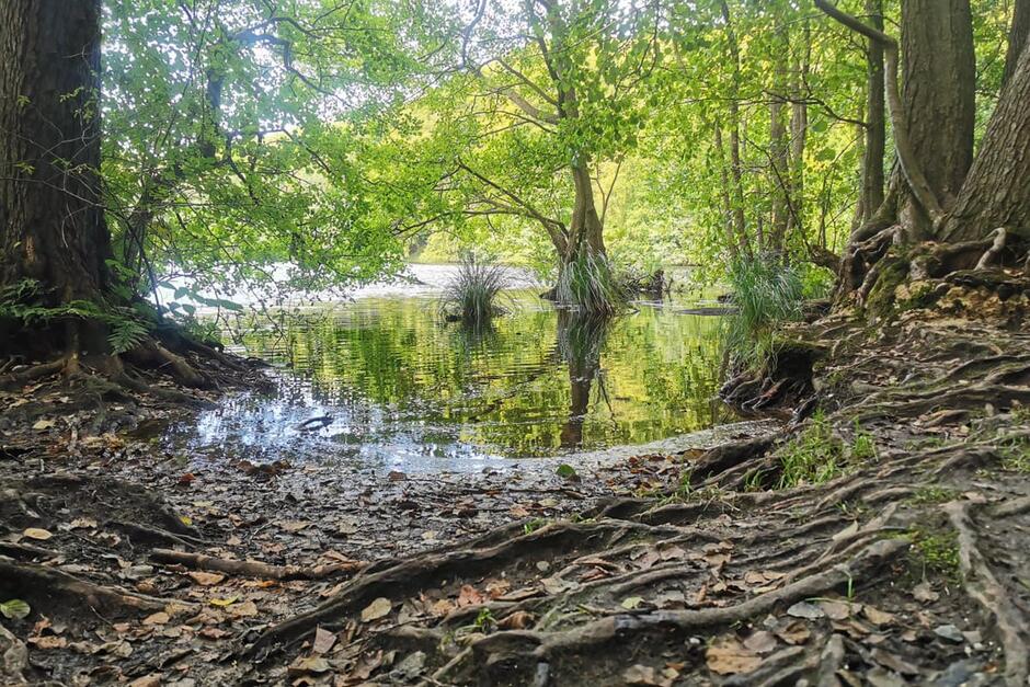 Ausflugziel: Herthasee auf der Insel Rügen