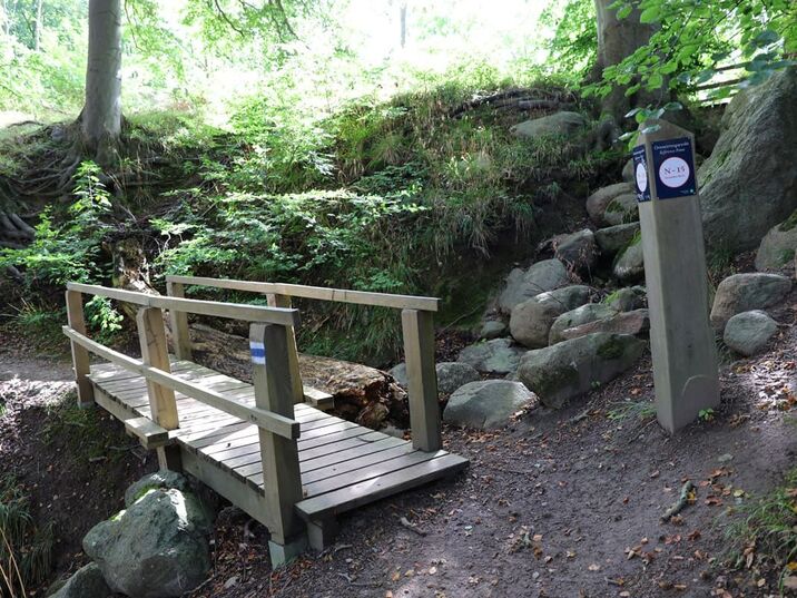 Ausflugsziel: Nationalpark Jasmund / Rügen bei Lohme