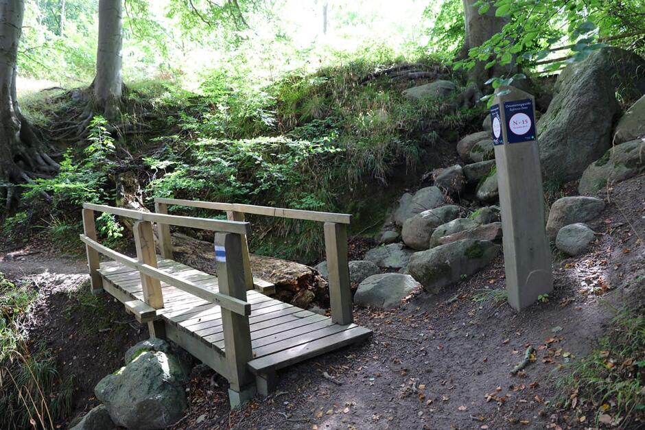 Ausflugsziel: Nationalpark Jasmund / Rügen bei Lohme