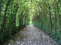 Güstrower Schloss - Teil des Lustgartens