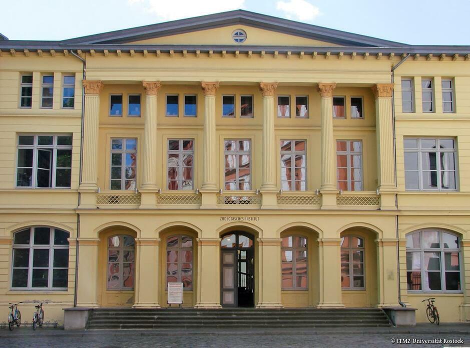 Museen: Zoologische Sammlung der Universität Rostock