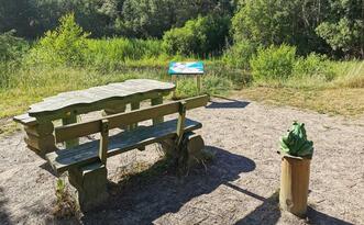Entdeckerpfad "Biologische Vielfalt" - Station 5 - Schiefe Pfütze