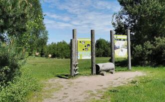 Entdeckerpfad "Biologische Vielfalt" - Station 3 - Waffen der Natur