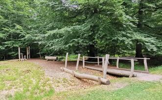 Entdeckerpfad "Biologische Vielfalt" - Station 8 - Brücke und Balancierstamm