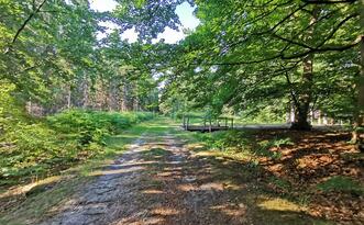 Entdeckerpfad "Biologische Vielfalt" - Beschaffenheit der Wege
