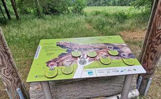 Entdeckerpfad "Biologische Vielfalt" - Tafel mit Lupe und Klappfeldern