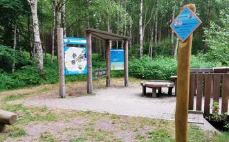 Entdeckerpfad "Biologische Vielfalt" - Station 6 - Wasserstand